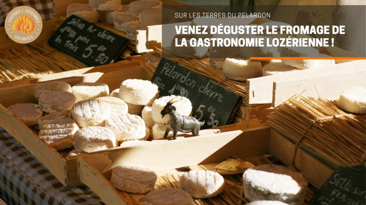 Alberguiere - Piscine Chauffee - Plancha - Barbecue Sainte-Croix-Vallee-Francaise Екстериор снимка